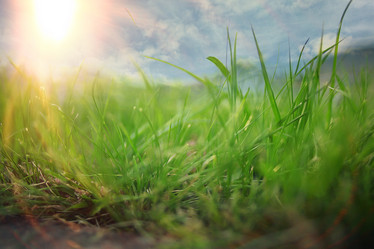 Similar image 10509670