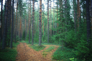 Similar image 10509686