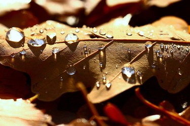 Similar image 10509695