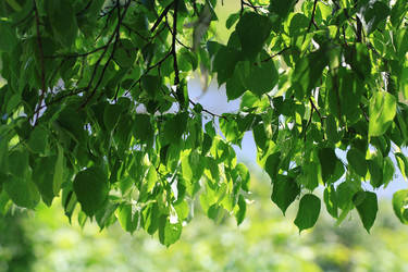 Similar image 10509696