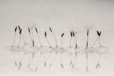 Similar image 10509699