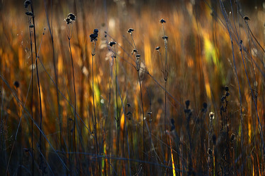 Similar image 10509700