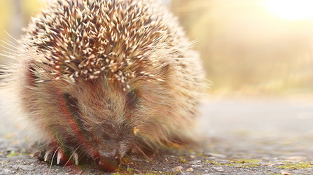 Similar image 10509707