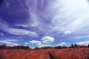 Similar image 10509715