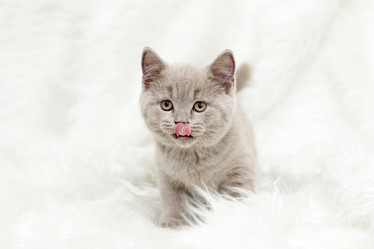 Similar image 10509714