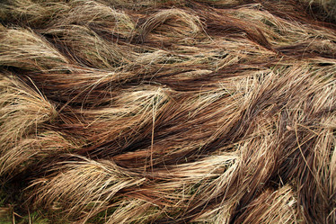 Similar image 10509723