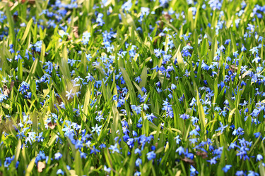 Similar image 10509724