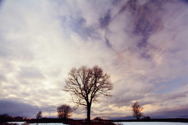 Similar image 10509725