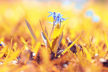 Similar image 10509728