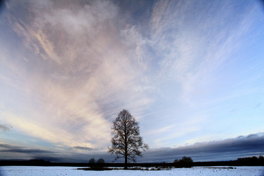 Similar image 10509729