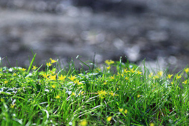 Similar image 10509731