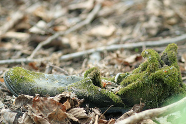 Similar image 10509733