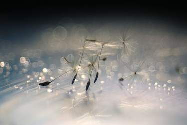 Similar image 10509736