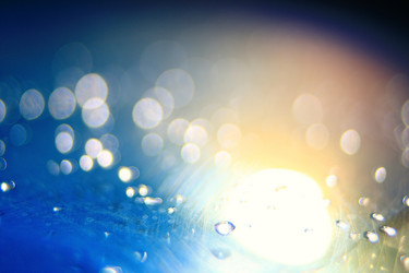 Similar image 10509739