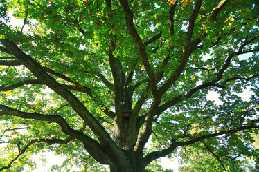 Similar image 10509740