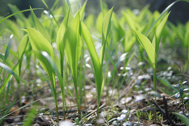 Similar image 10509747