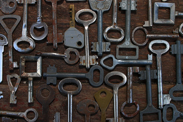 Similar image 10509749