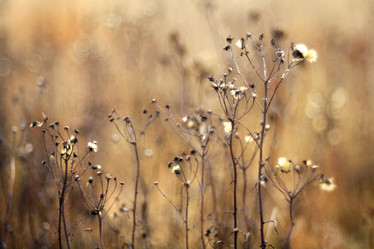 Similar image 10509771