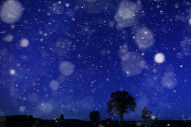 Similar image 10509773