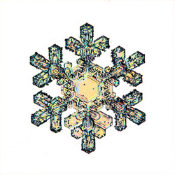 Similar image 10509775