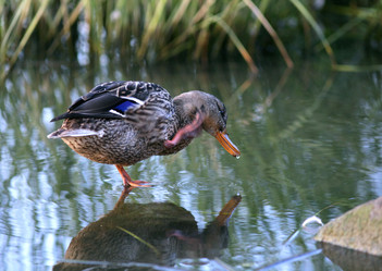 Similar image 10509797