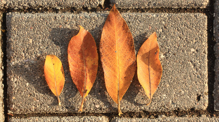 Similar image 10509811