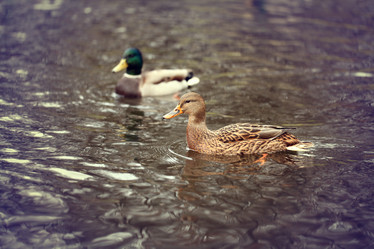 Similar image 10509830