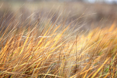 Similar image 10509834