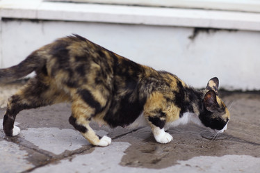 Similar image 10509844