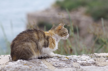 Similar image 10509846