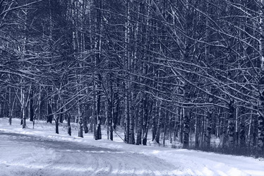 Similar image 10509849