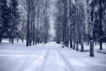 Similar image 10509854