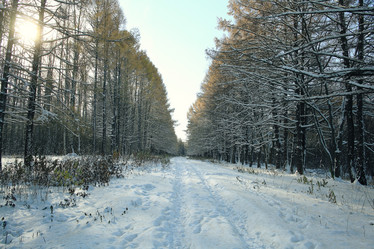 Similar image 10509856