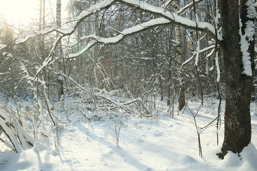 Similar image 10509858