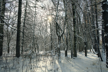 Similar image 10509860