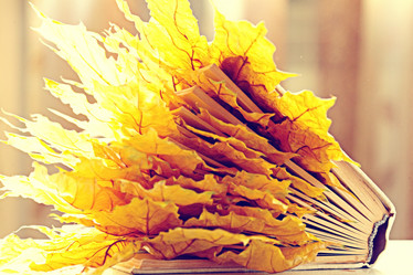 Similar image 10509863