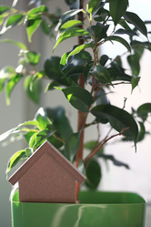 Similar image 10509893