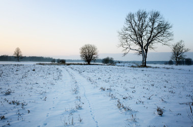 Similar image 10509906