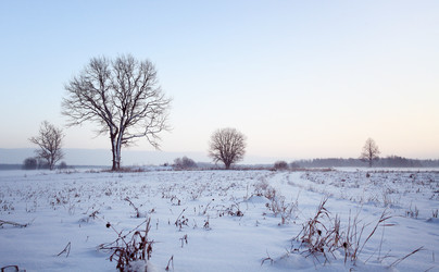 Similar image 10509907