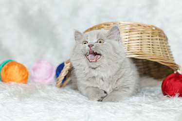 Similar image 10509908