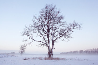 Similar image 10509911