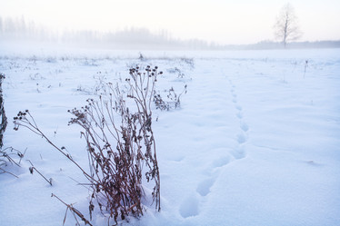 Similar image 10509913