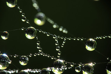 Similar image 10509916