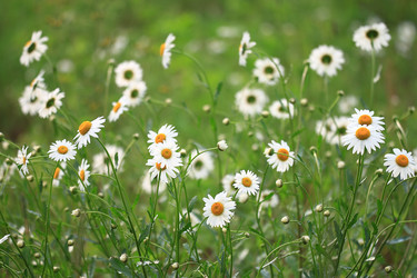 Similar image 10509922