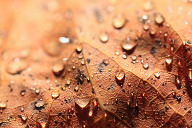 Similar image 10509924