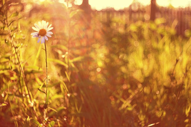 Similar image 10509925