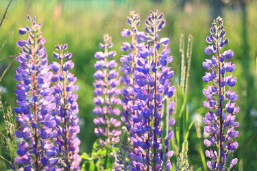 Similar image 10509926