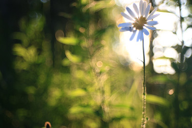 Similar image 10509927