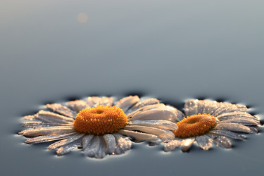 Similar image 10509928