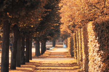 Similar image 10509933